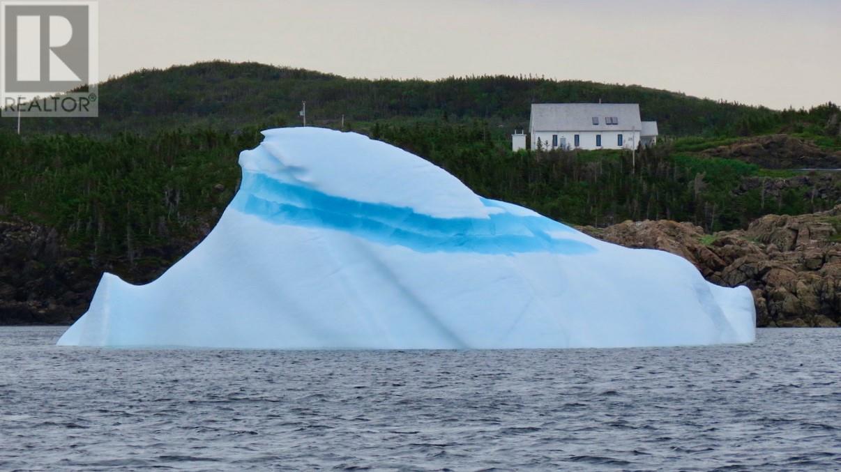 4 Green Cove Road, Pike's Arm, Newfoundland & Labrador  A0G 2R0 - Photo 2 - 1288867