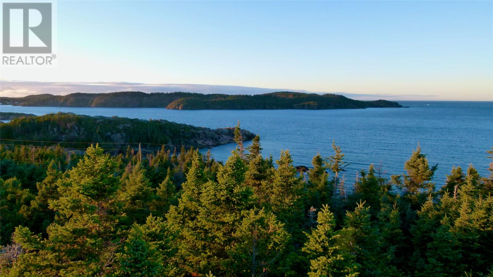 4 Green Cove Road, Pike's Arm, Newfoundland & Labrador  A0G 2R0 - Photo 47 - 1288867