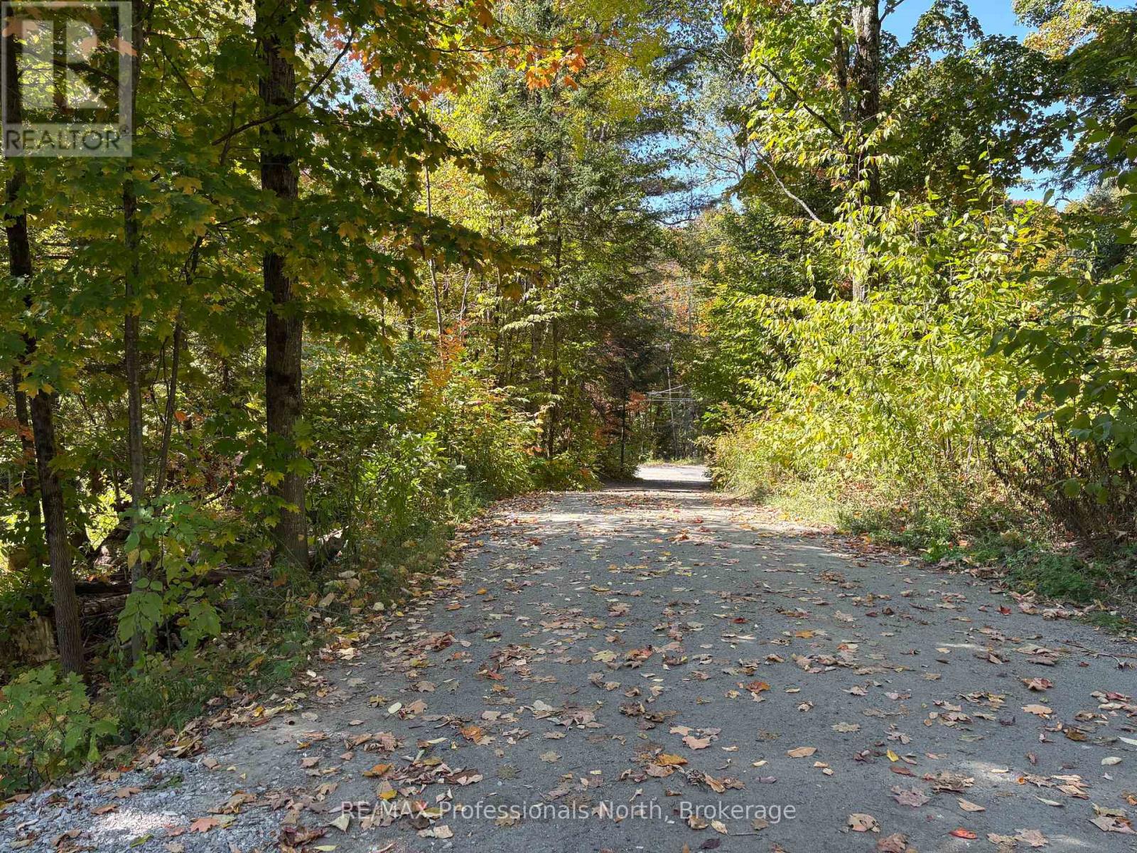 116 Woodland Drive, Huntsville, Ontario  P1H 1A7 - Photo 4 - X12423156