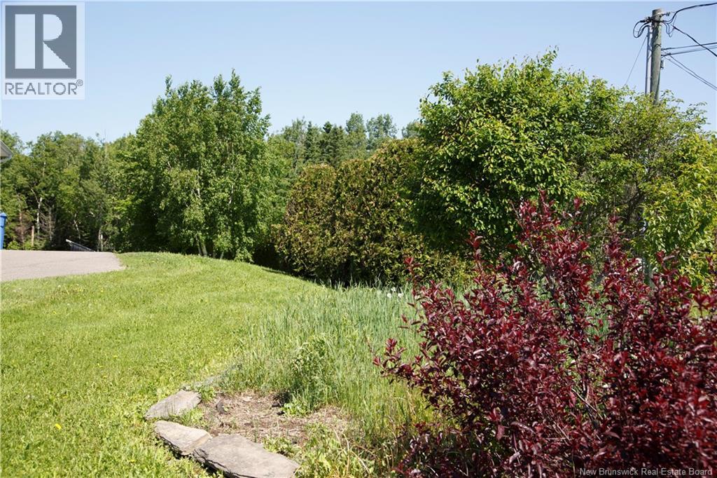 25 Croissant Albert Street, Dsl De Drummond/dsl Of Drummond, New Brunswick  E3Y 1J3 - Photo 5 - NB127291