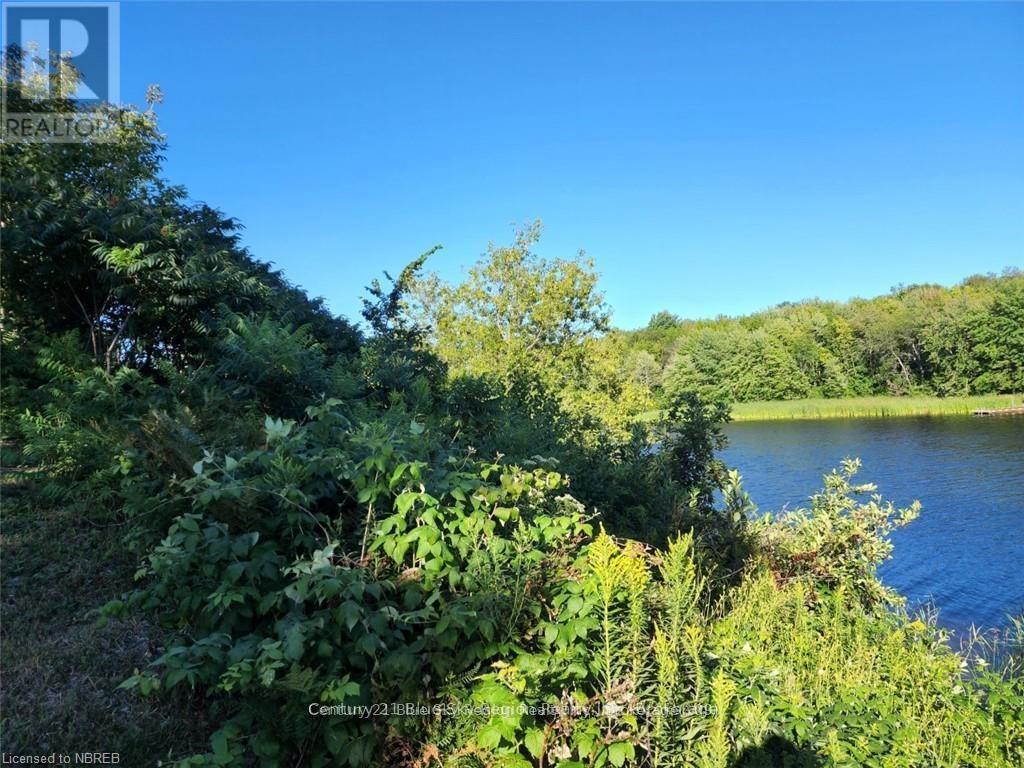24 Villeneuve Crescent, West Nipissing (Sturgeon Falls), Ontario  P2B 3G8 - Photo 11 - X12423082