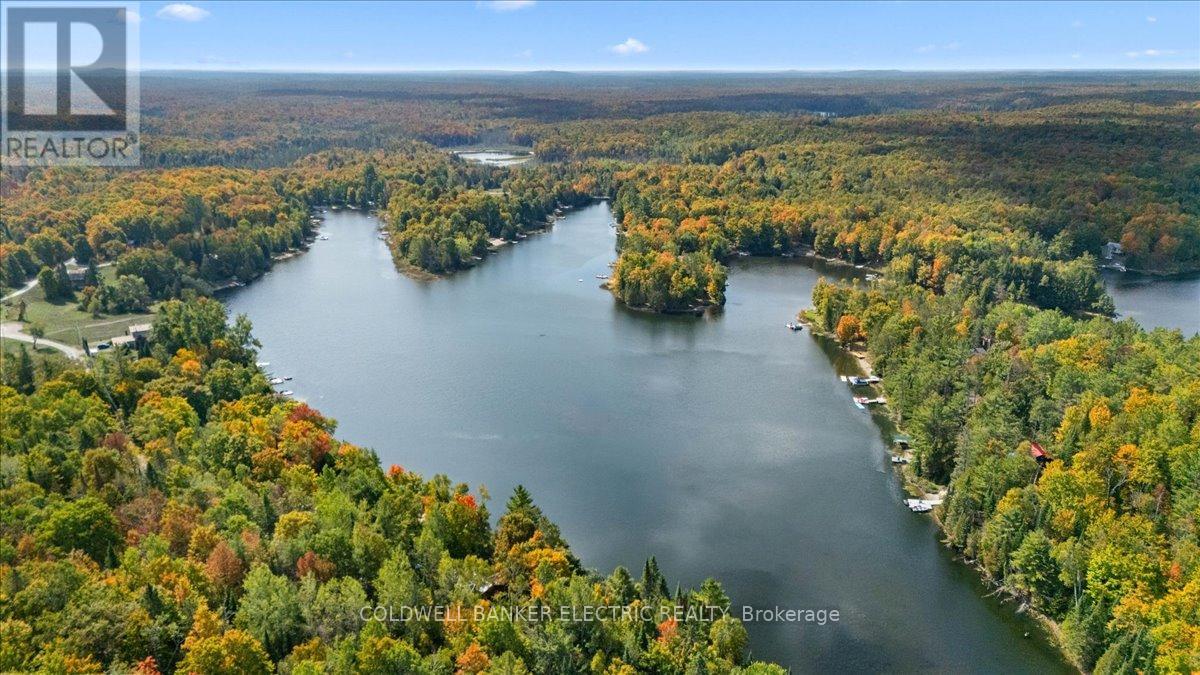 29 Fire Route 296, Trent Lakes, Ontario  K0L 1J0 - Photo 29 - X12423191