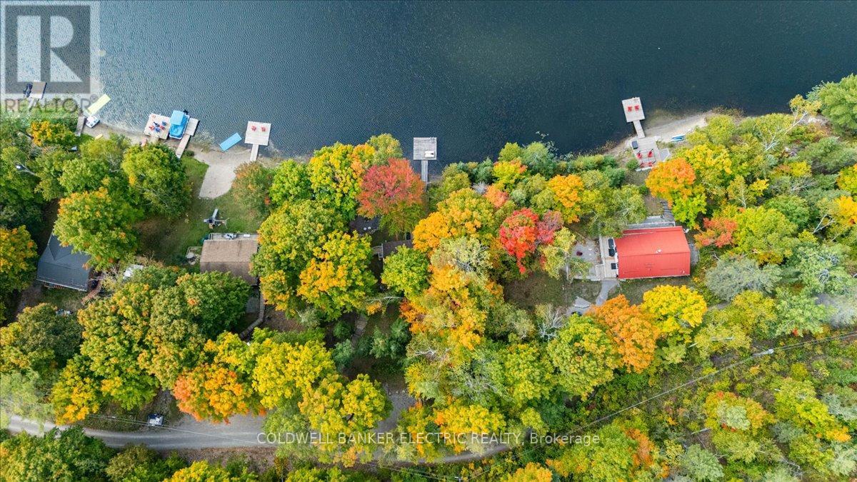 29 Fire Route 296, Trent Lakes, Ontario  K0L 1J0 - Photo 31 - X12423191