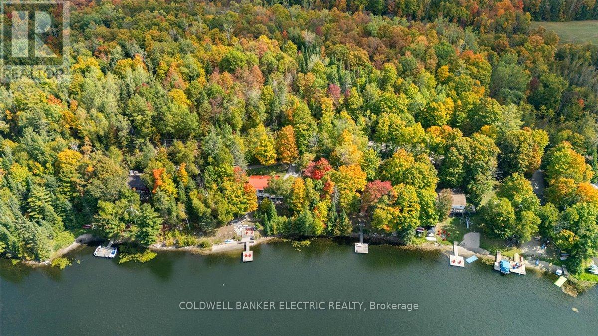 29 Fire Route 296, Trent Lakes, Ontario  K0L 1J0 - Photo 33 - X12423191