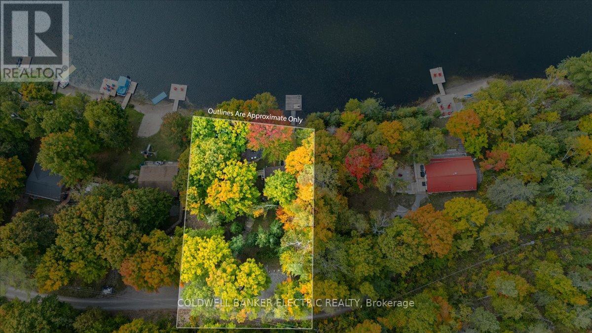 29 Fire Route 296, Trent Lakes, Ontario  K0L 1J0 - Photo 34 - X12423191