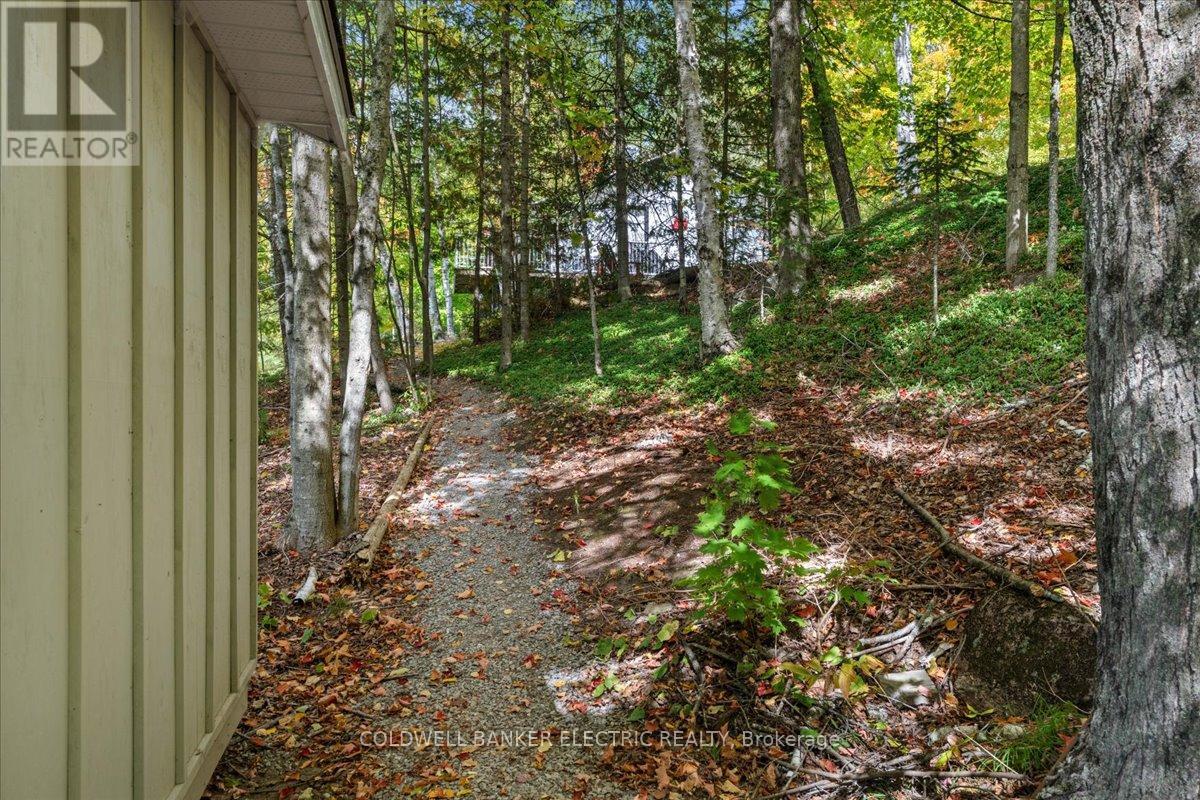 29 Fire Route 296, Trent Lakes, Ontario  K0L 1J0 - Photo 4 - X12423191