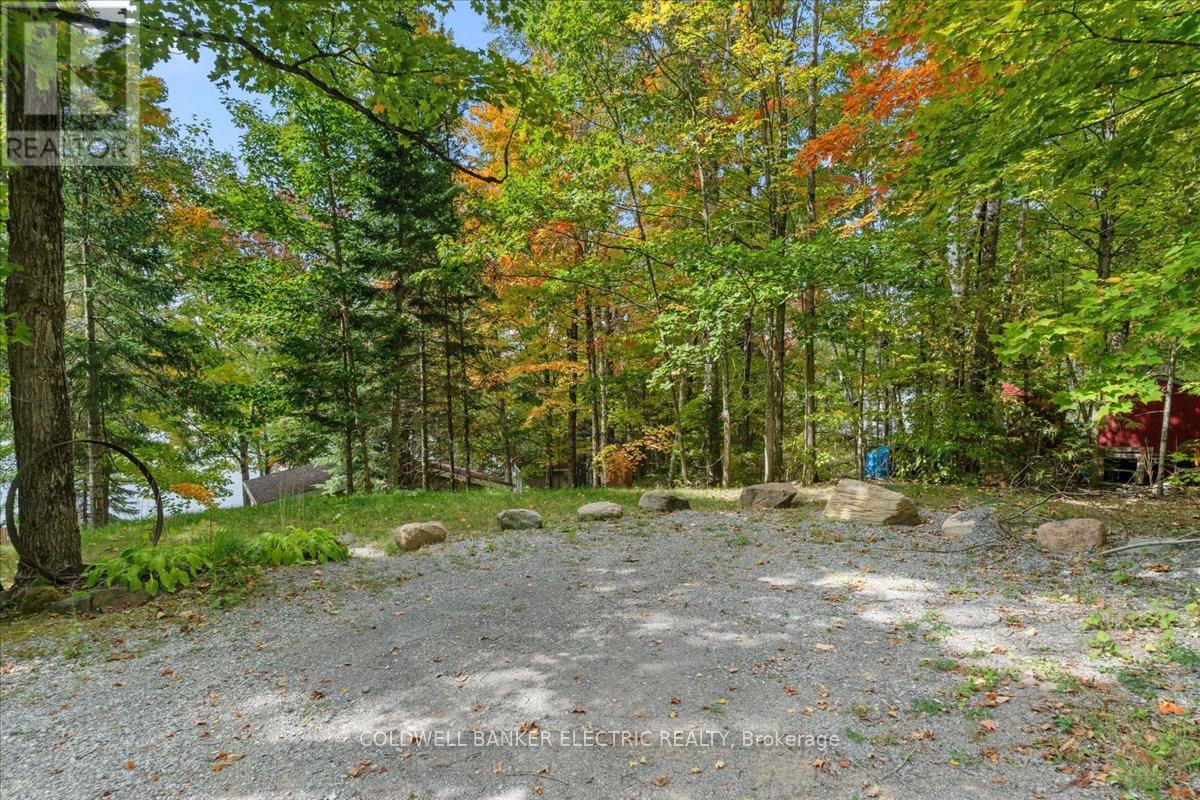 29 Fire Route 296, Trent Lakes, Ontario  K0L 1J0 - Photo 7 - X12423191