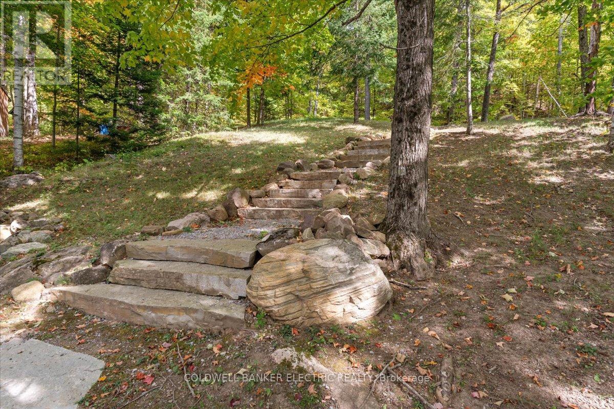 29 Fire Route 296, Trent Lakes, Ontario  K0L 1J0 - Photo 8 - X12423191