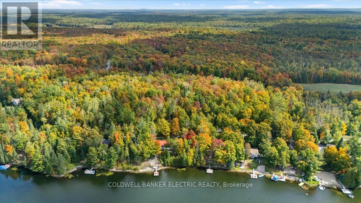 37 Fire Route 296, Trent Lakes, Ontario  K0L 1J0 - Photo 4 - X12423199