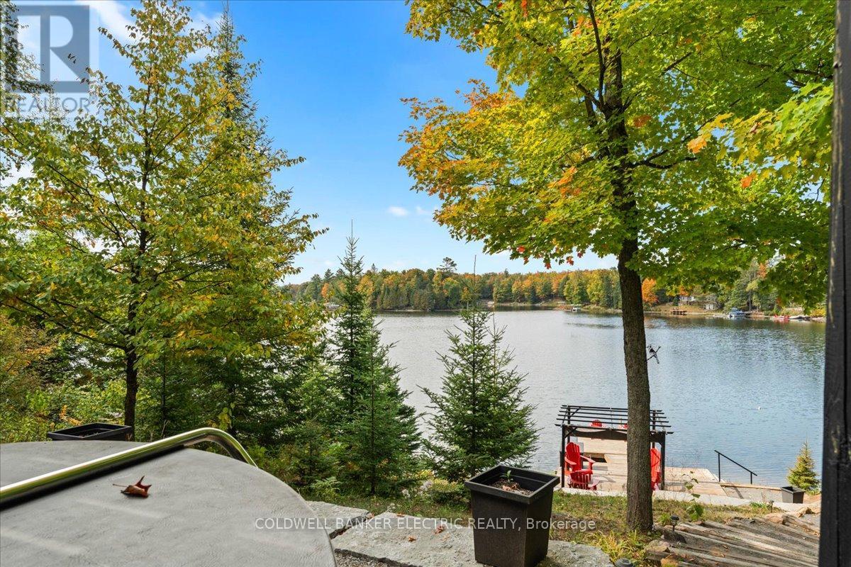 37 Fire Route 296, Trent Lakes, Ontario  K0L 1J0 - Photo 41 - X12423199