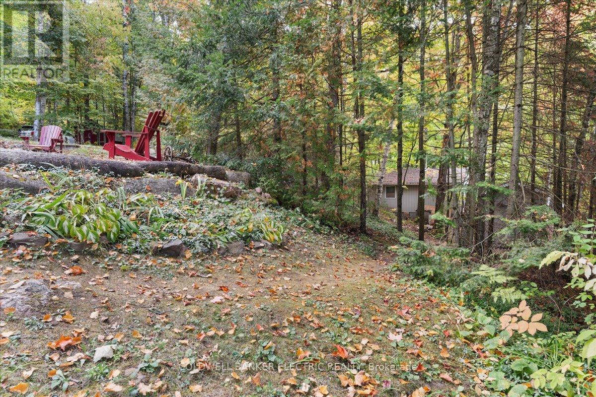 37 Fire Route 296, Trent Lakes, Ontario  K0L 1J0 - Photo 45 - X12423199