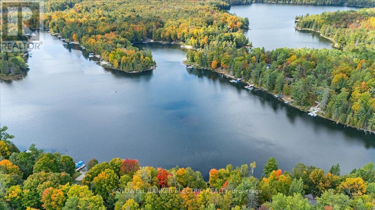 37 Fire Route 296, Trent Lakes, Ontario  K0L 1J0 - Photo 6 - X12423199
