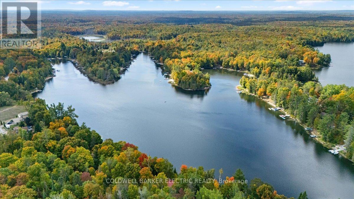 37 Fire Route 296, Trent Lakes, Ontario  K0L 1J0 - Photo 8 - X12423199