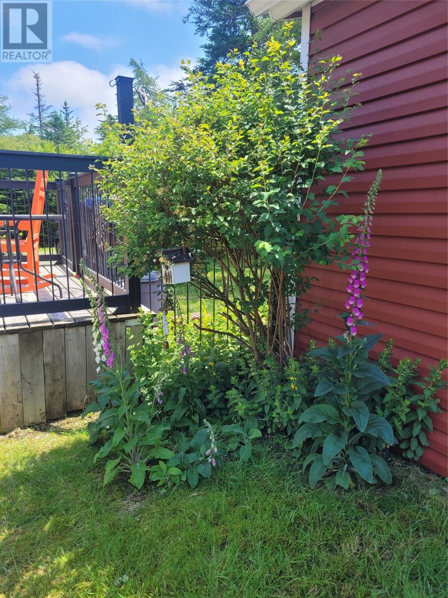 H 27 Horsechops Road, Cape Broyle, Newfoundland & Labrador  A0A 1P0 - Photo 23 - 1290850