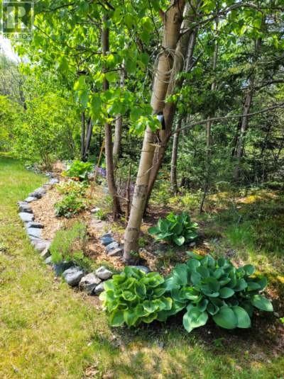 H 27 Horsechops Road, Cape Broyle, Newfoundland & Labrador  A0A 1P0 - Photo 26 - 1290850