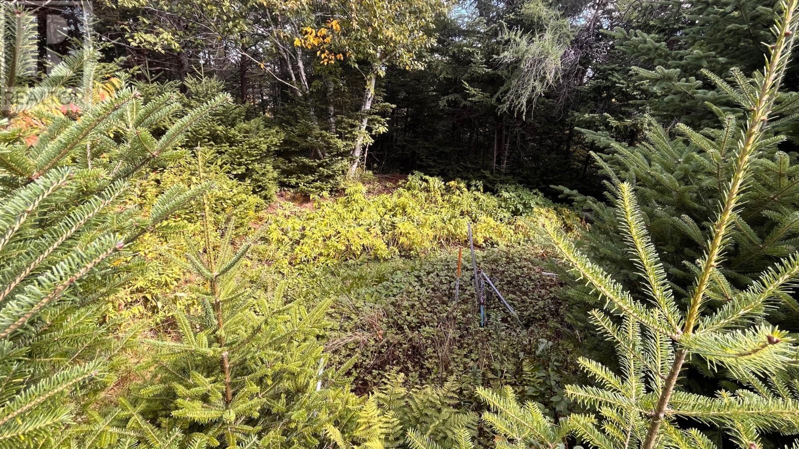 H 27 Horsechops Road, Cape Broyle, Newfoundland & Labrador  A0A 1P0 - Photo 30 - 1290809