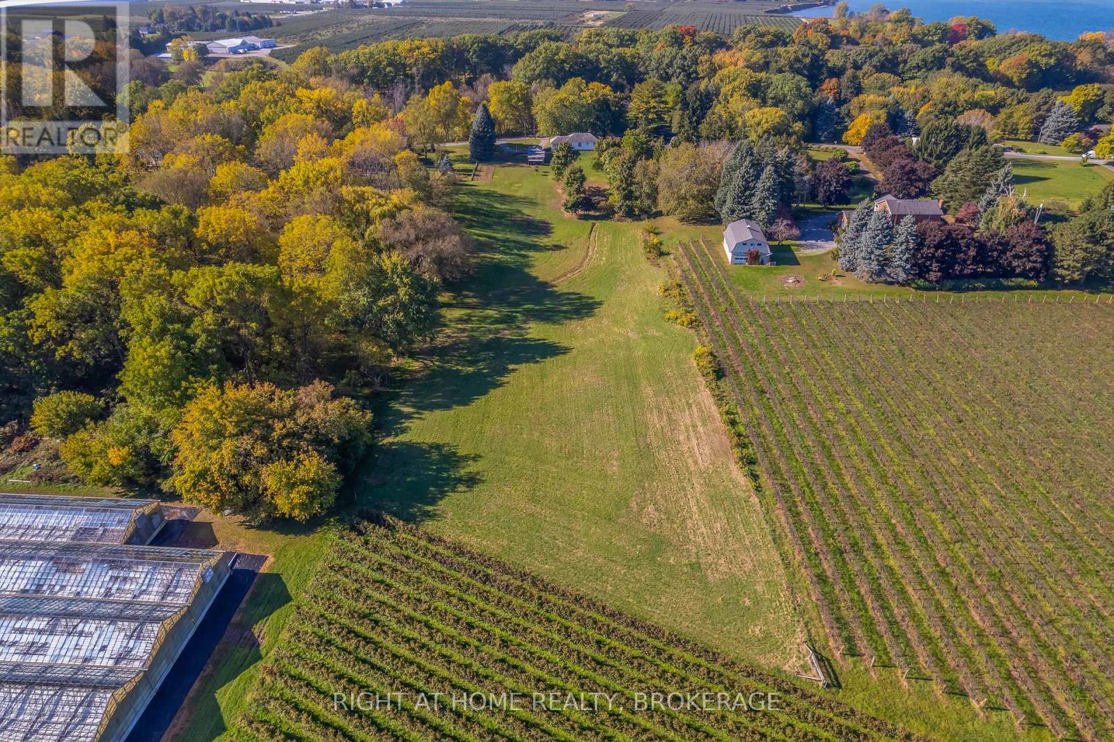 1353 Mcnab Road, Niagara-On-The-Lake, Ontario  L0S 1J0 - Photo 18 - X12423419