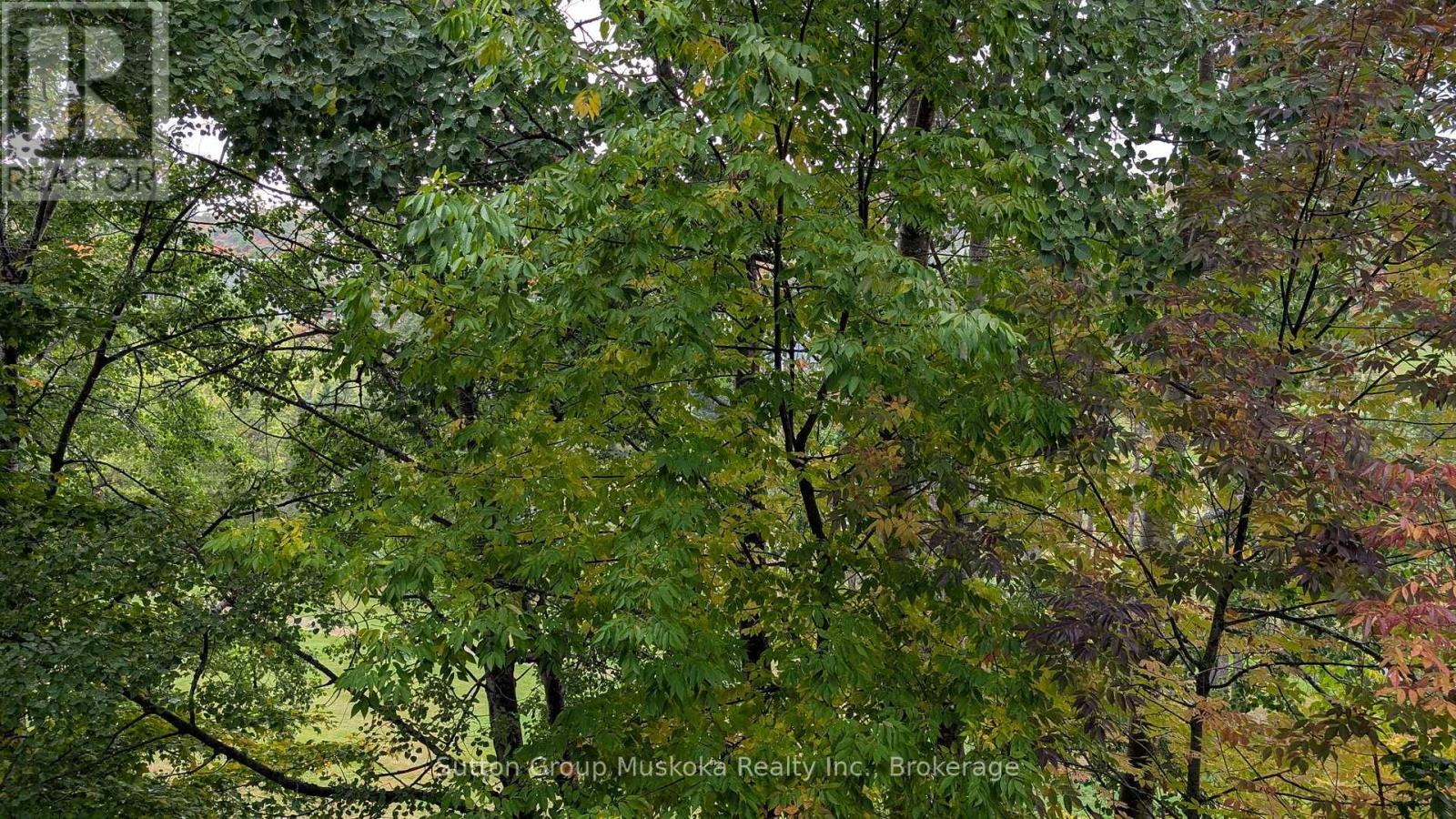 27-202 Golfview - Deerhurst Resort Drive, Huntsville, Ontario  P1H 2E8 - Photo 19 - X12423552