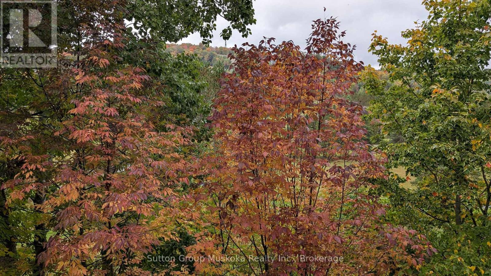 27-202 Golfview - Deerhurst Resort Drive, Huntsville, Ontario  P1H 2E8 - Photo 6 - X12423552
