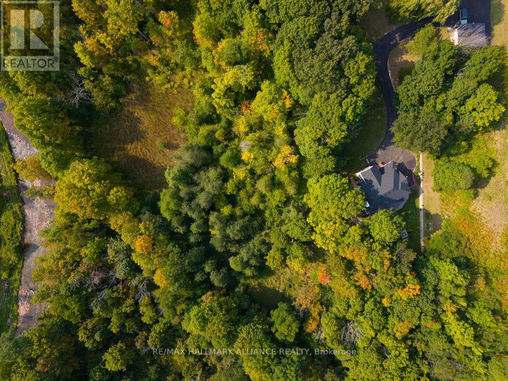 1200 Bronte Road, Oakville, Ontario  L6M 4G4 - Photo 6 - W12423384