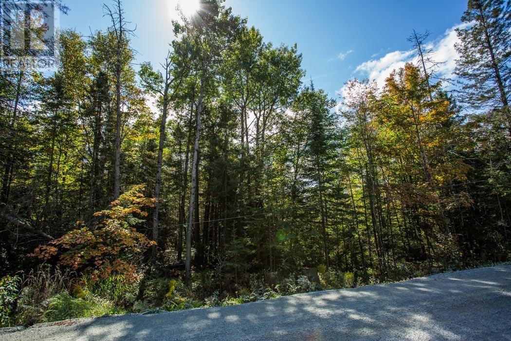 5th Concession Rd, Bruce Mines, Ontario  P0R 1C0 - Photo 13 - SM252704