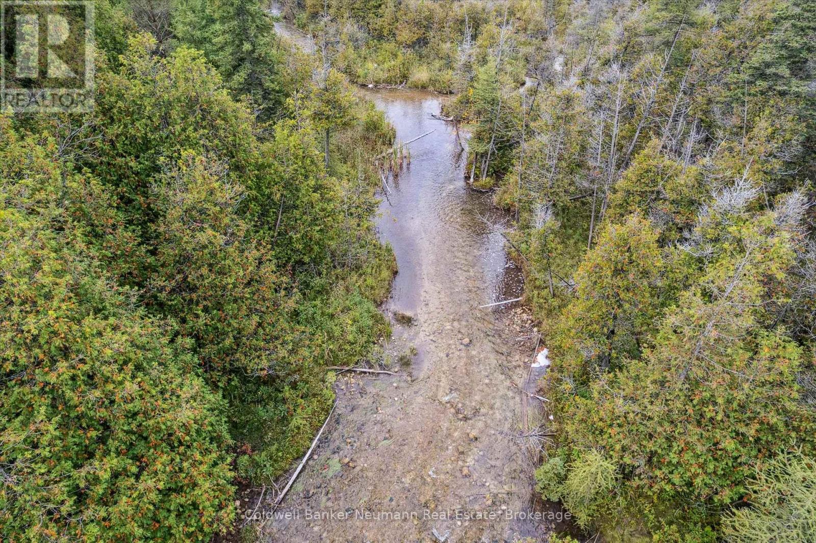 403277 Grey Road 4, West Grey, Ontario  N0G 1R0 - Photo 25 - X12423633