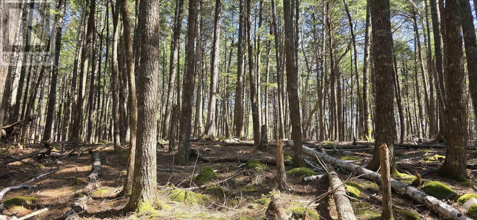 Lot 3 Beaver Row, Labelle, Nova Scotia