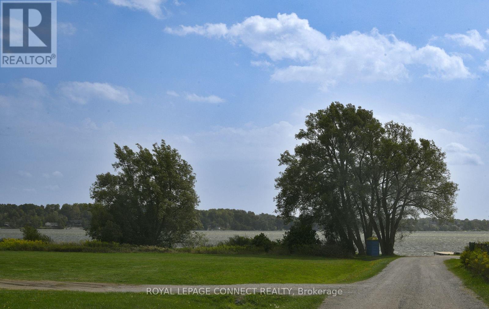 113 Pleasant Point Road, Kawartha Lakes, Ontario  K0M 2C0 - Photo 34 - X12423660