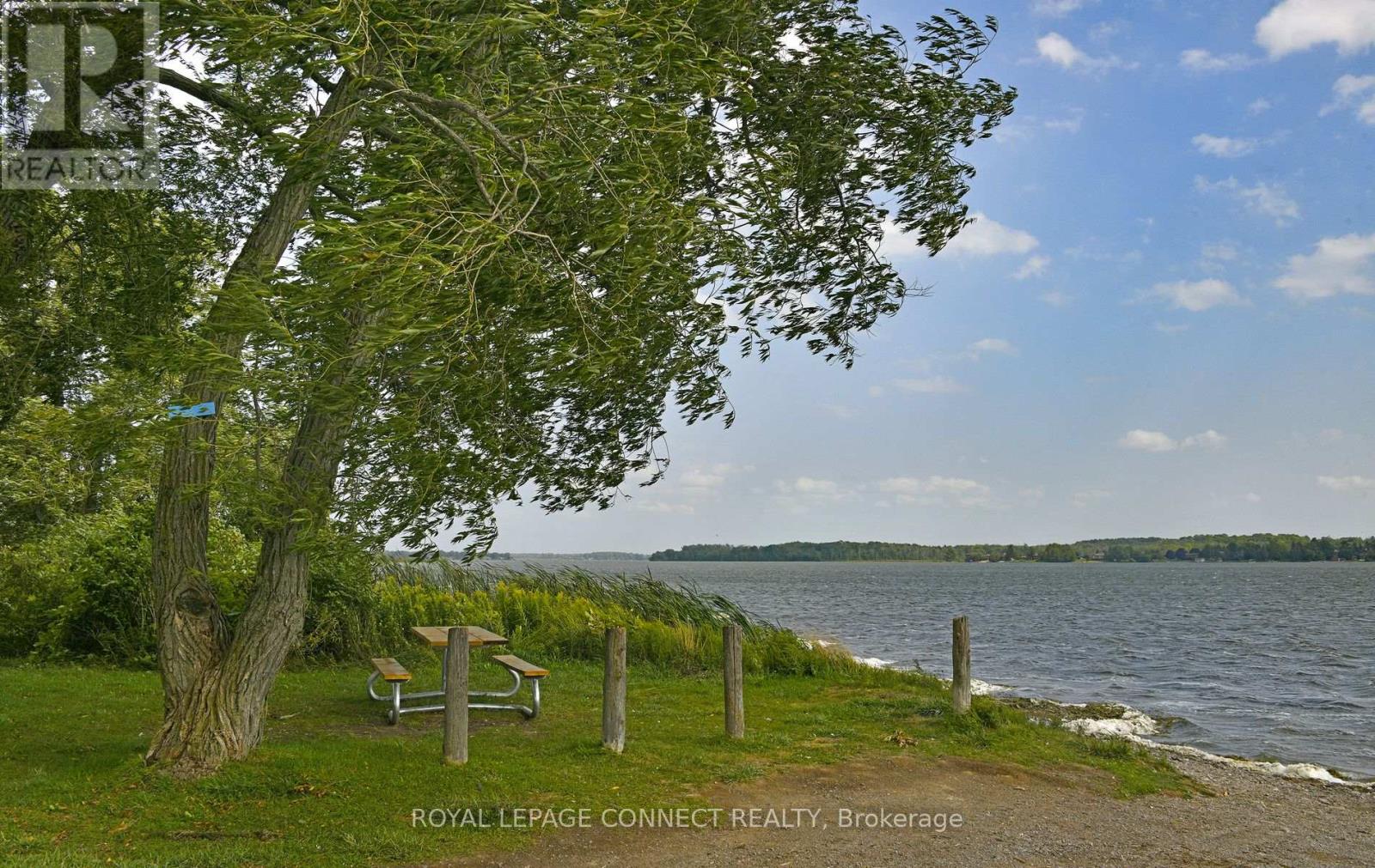 113 Pleasant Point Road, Kawartha Lakes, Ontario  K0M 2C0 - Photo 35 - X12423660
