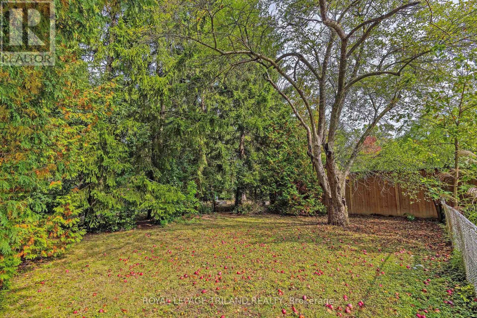 176 Devonshire Avenue, London South, Ontario  N6C 2J1 - Photo 38 - X12423883
