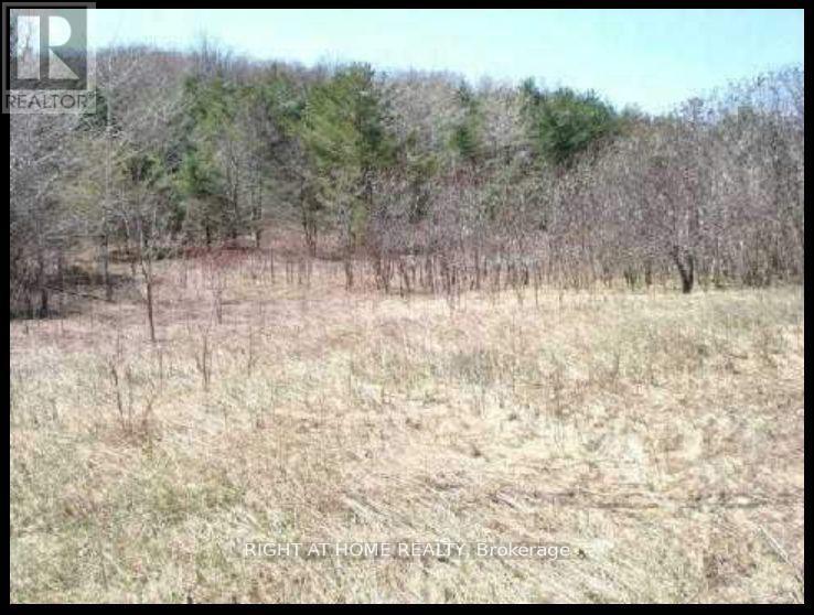 14600 Jane Street, King, Ontario  L7B 1A3 - Photo 2 - N12423759