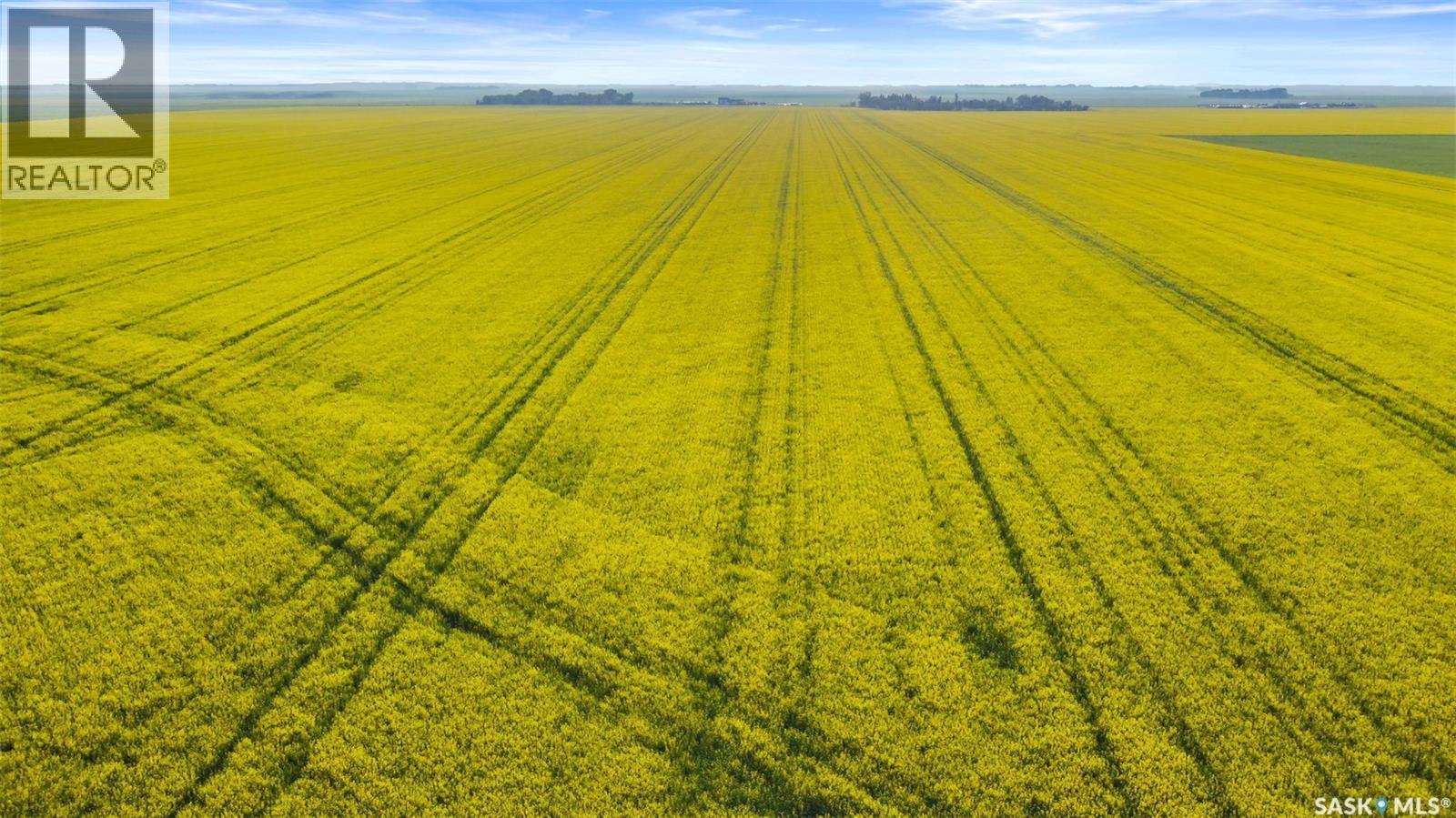 Regina Land - Se 31-18-19 W2, Sherwood Rm No. 159, Saskatchewan  S4P 3C7 - Photo 5 - SK019153