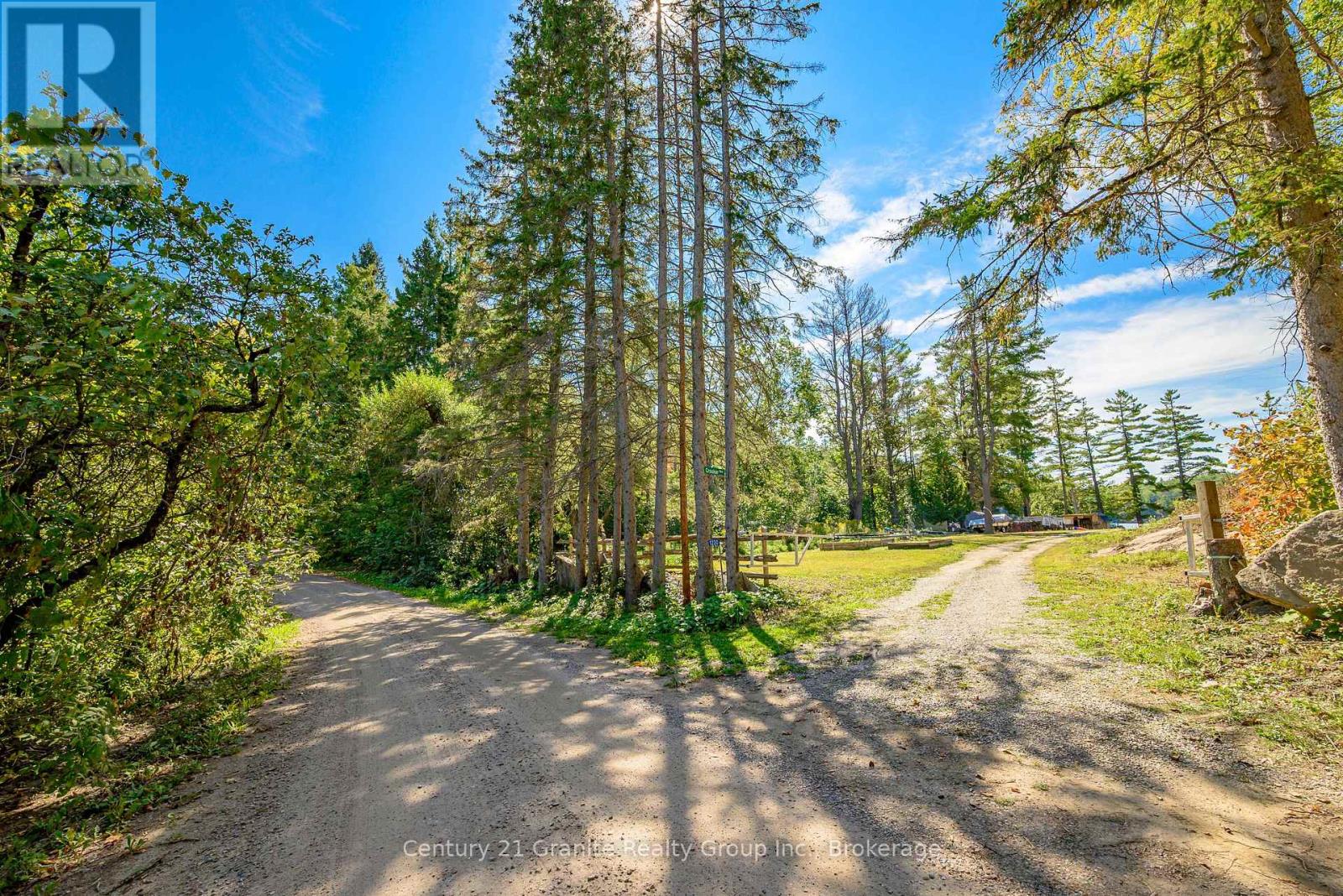 1230 Forsters Road, Minden Hills, Ontario  K0M 2K0 - Photo 5 - X12424049