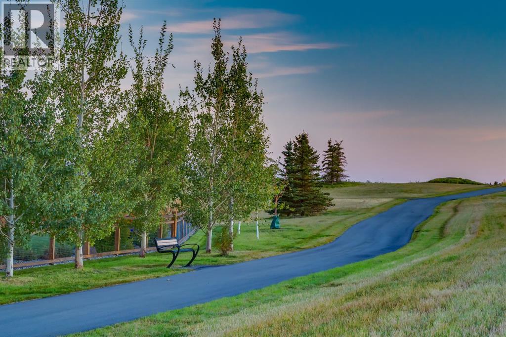 1160 Sailfin Heath, Rural Rocky View County, Alberta  T3Z 0J1 - Photo 40 - A2251356