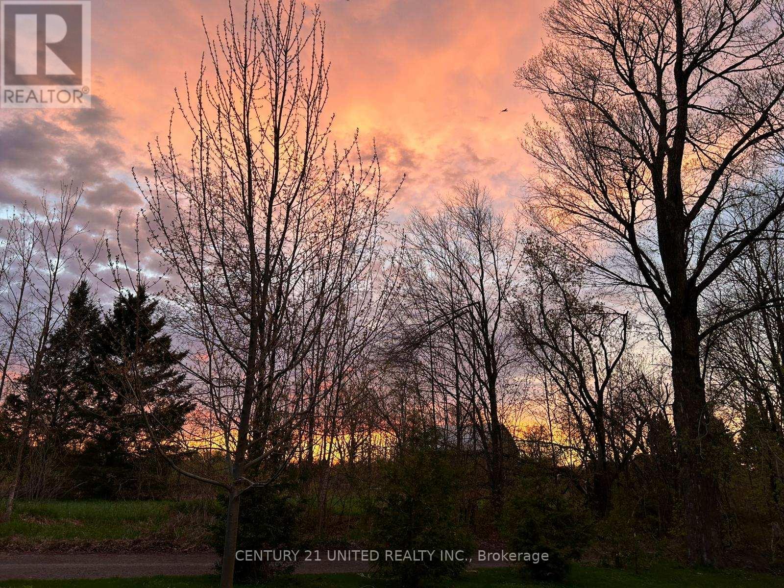 1920 County Rd 6, Douro-Dummer, Ontario  K0L 2H0 - Photo 49 - X12423979