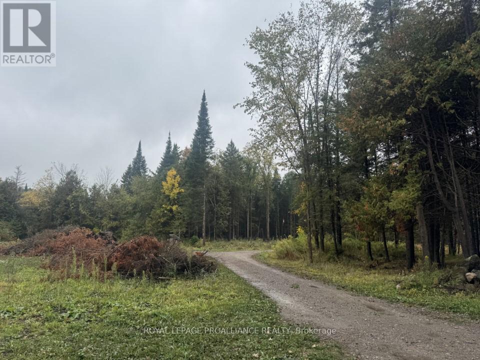 240 And 242 Gawley Road, Madoc, Ontario  K0K 2M0 - Photo 14 - X12423307