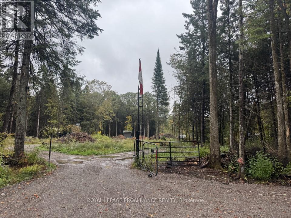 240 And 242 Gawley Road, Madoc, Ontario  K0K 2M0 - Photo 5 - X12423307