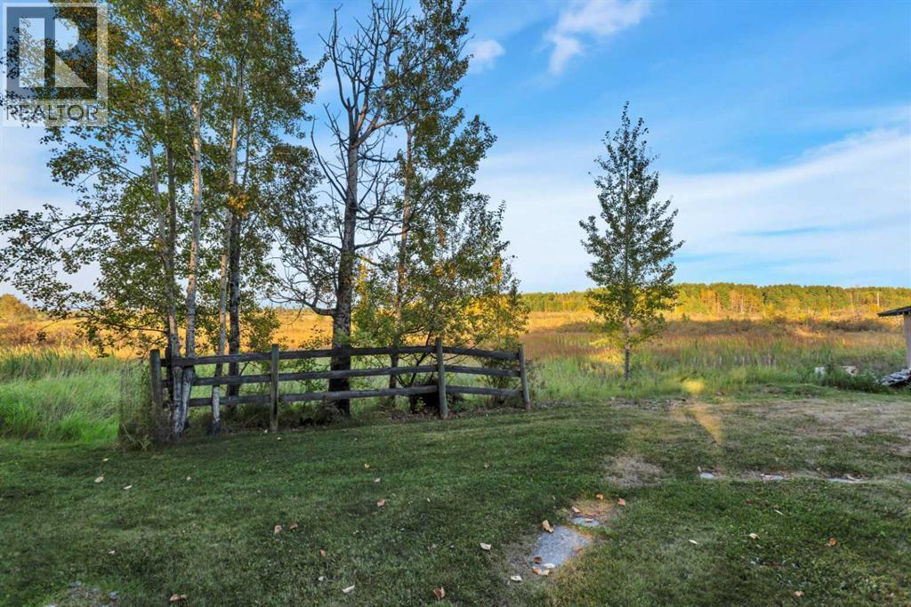 4152 47 Avenue, Rocky Mountain House, Alberta  T4T 1C8 - Photo 41 - A2259425