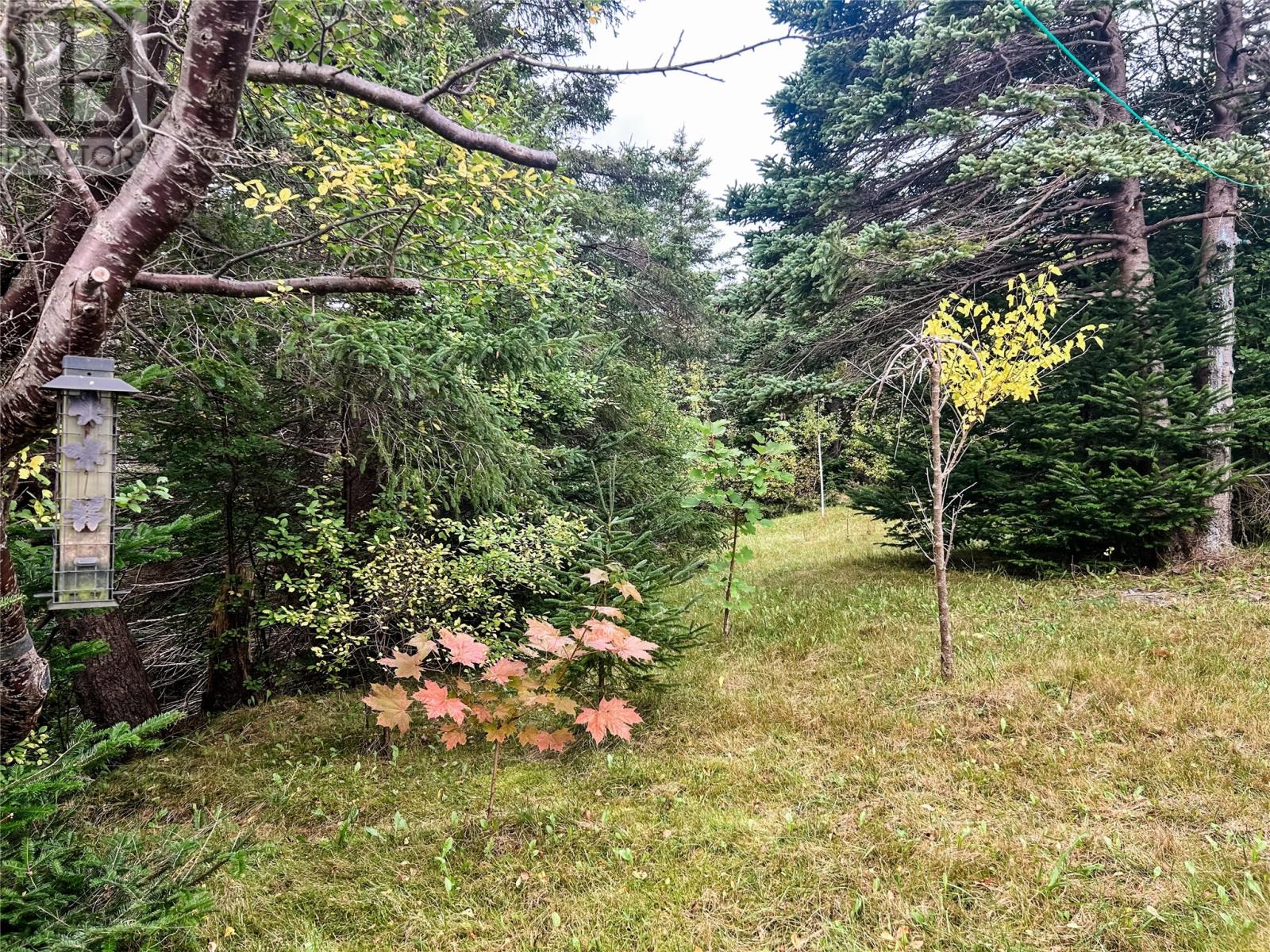 2 Collins Lane, Marystown, Newfoundland & Labrador  A0E 2M0 - Photo 29 - 1290814