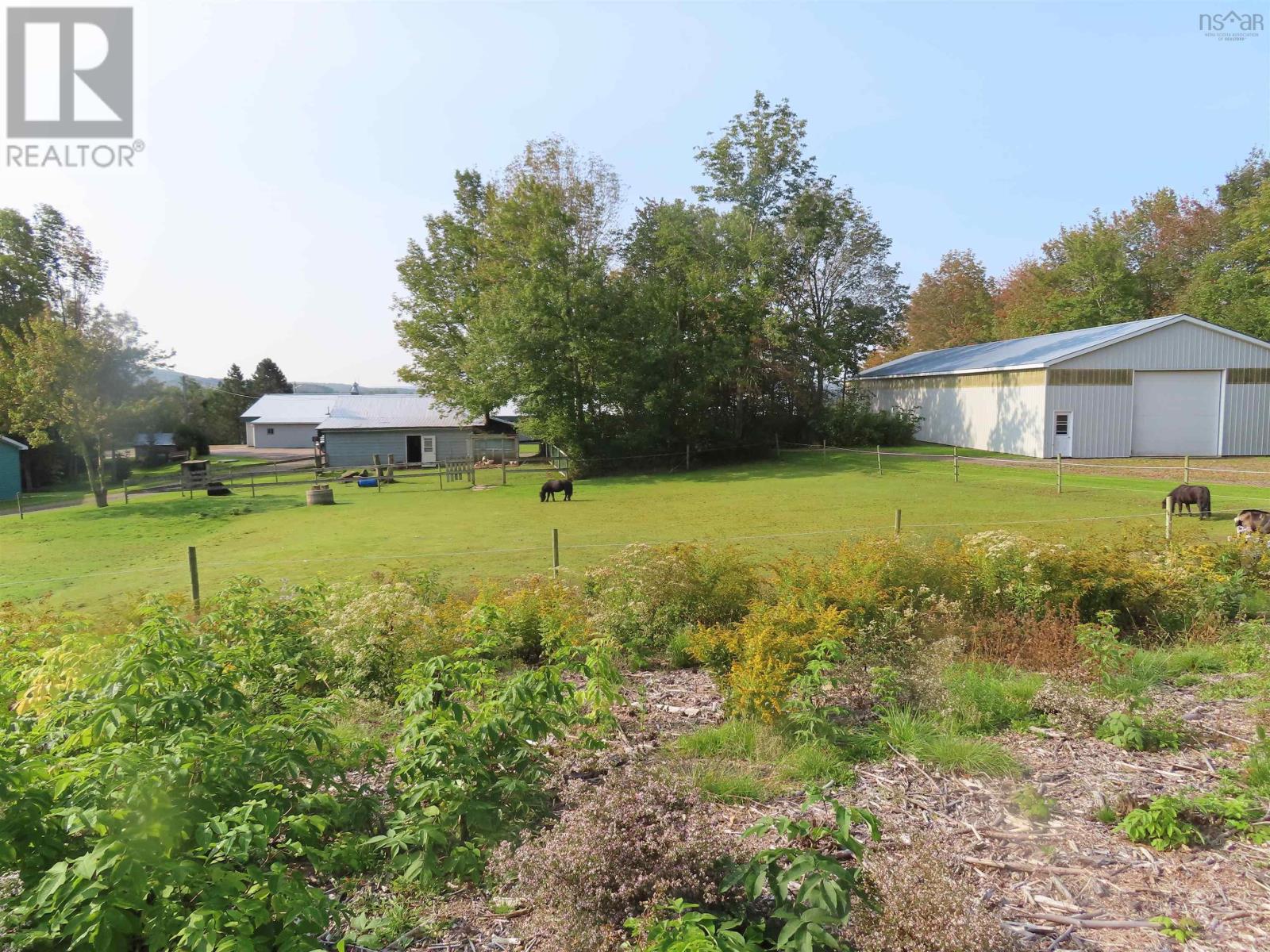 3653 Highway 316, St Andrew's, Nova Scotia  B0H 1X0 - Photo 28 - 202322471