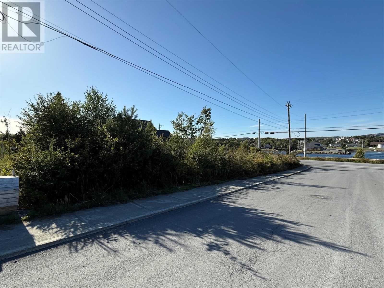 62 George Mercer Drive, Bay Roberts, Newfoundland & Labrador  A0A 3X0 - Photo 11 - 1290870