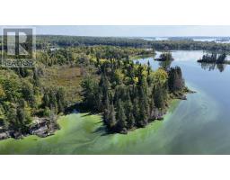 PTS 2,7,8 DORION ISLAND LAKE OF THE WOODS, UNORGANIZED, Ontario