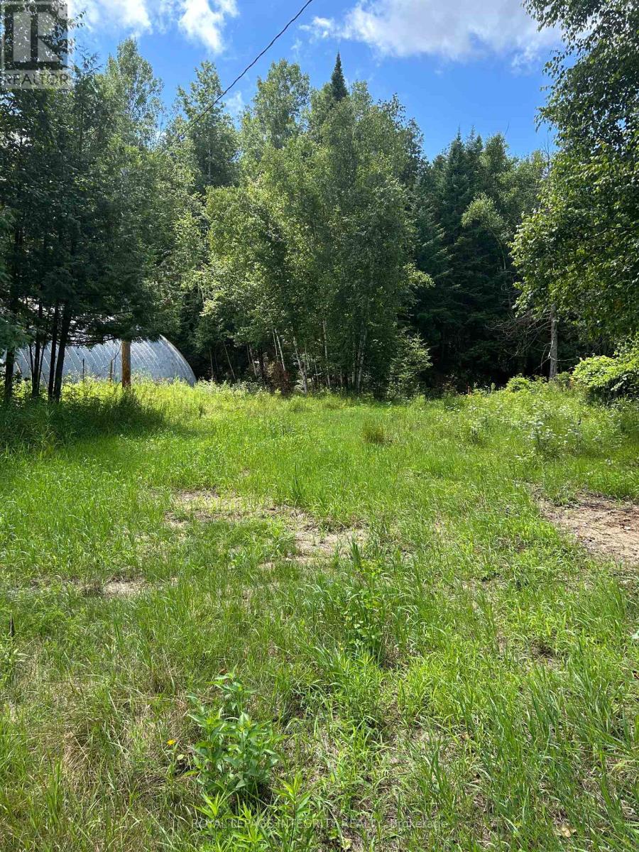 109 Iron Mine Road, Tay Valley, Ontario  K0G 1K0 - Photo 8 - X12424147