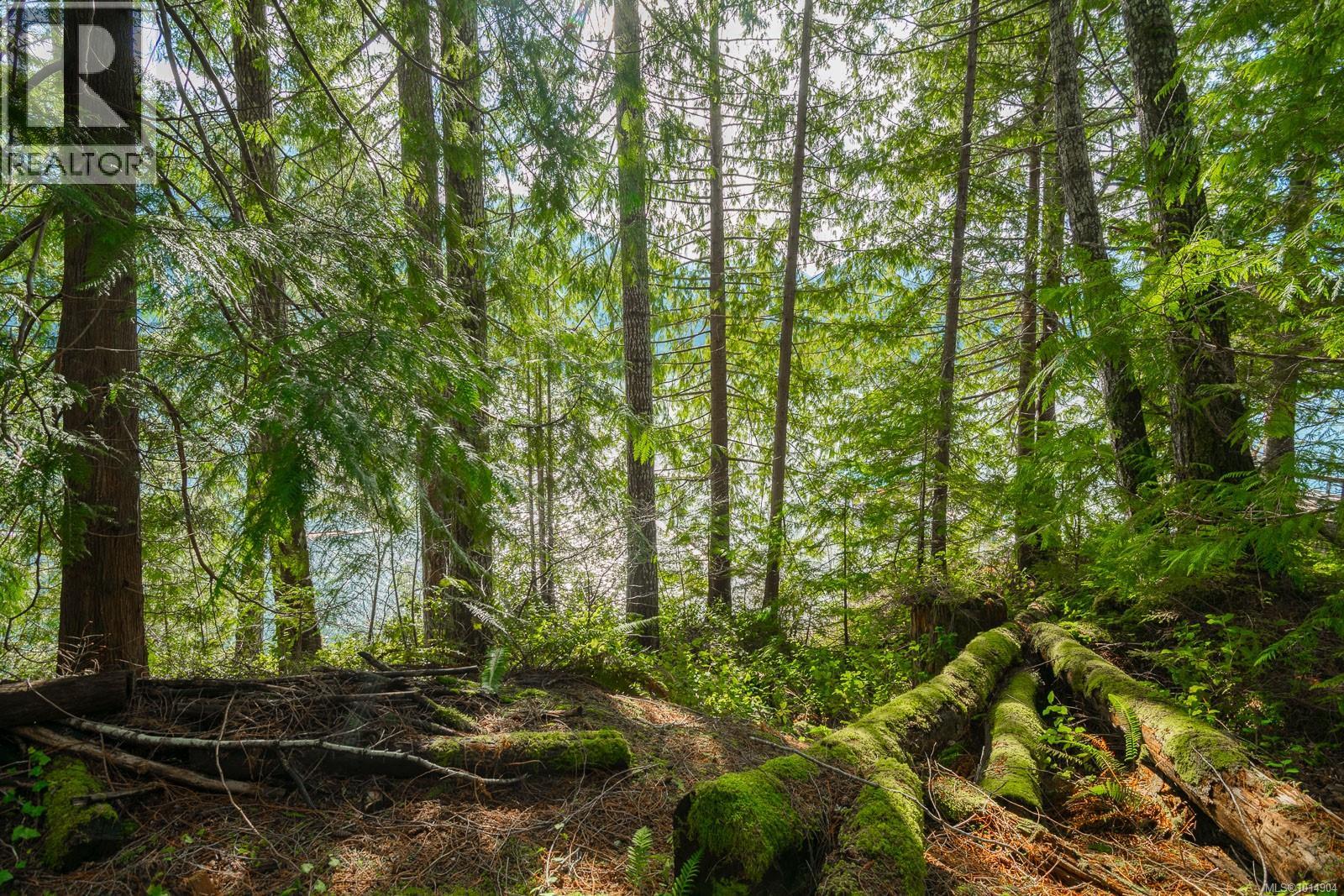 19320 Pacific Rim Hwy, Port Alberni, British Columbia  V9Y 8Z9 - Photo 26 - 1014904