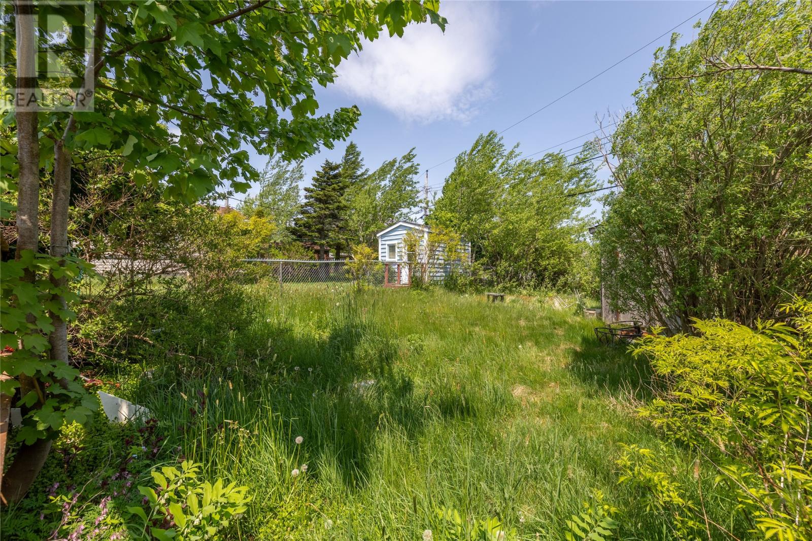 6 Leonard Place, St. John's, Newfoundland & Labrador  A1A 4Z2 - Photo 4 - 1290876