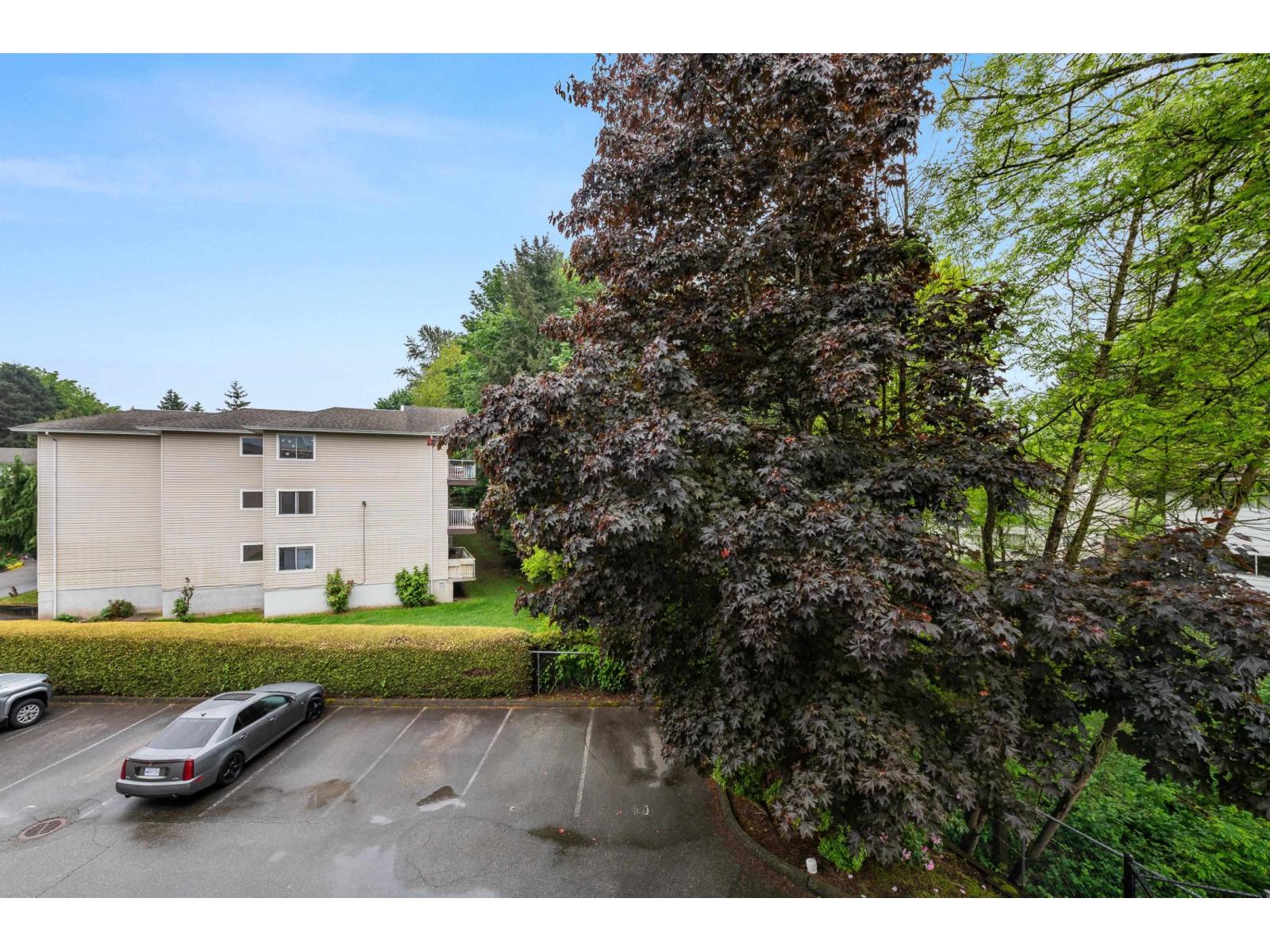 210 33110 George Ferguson Way, Abbotsford, British Columbia  V2S 2L5 - Photo 21 - R3051806