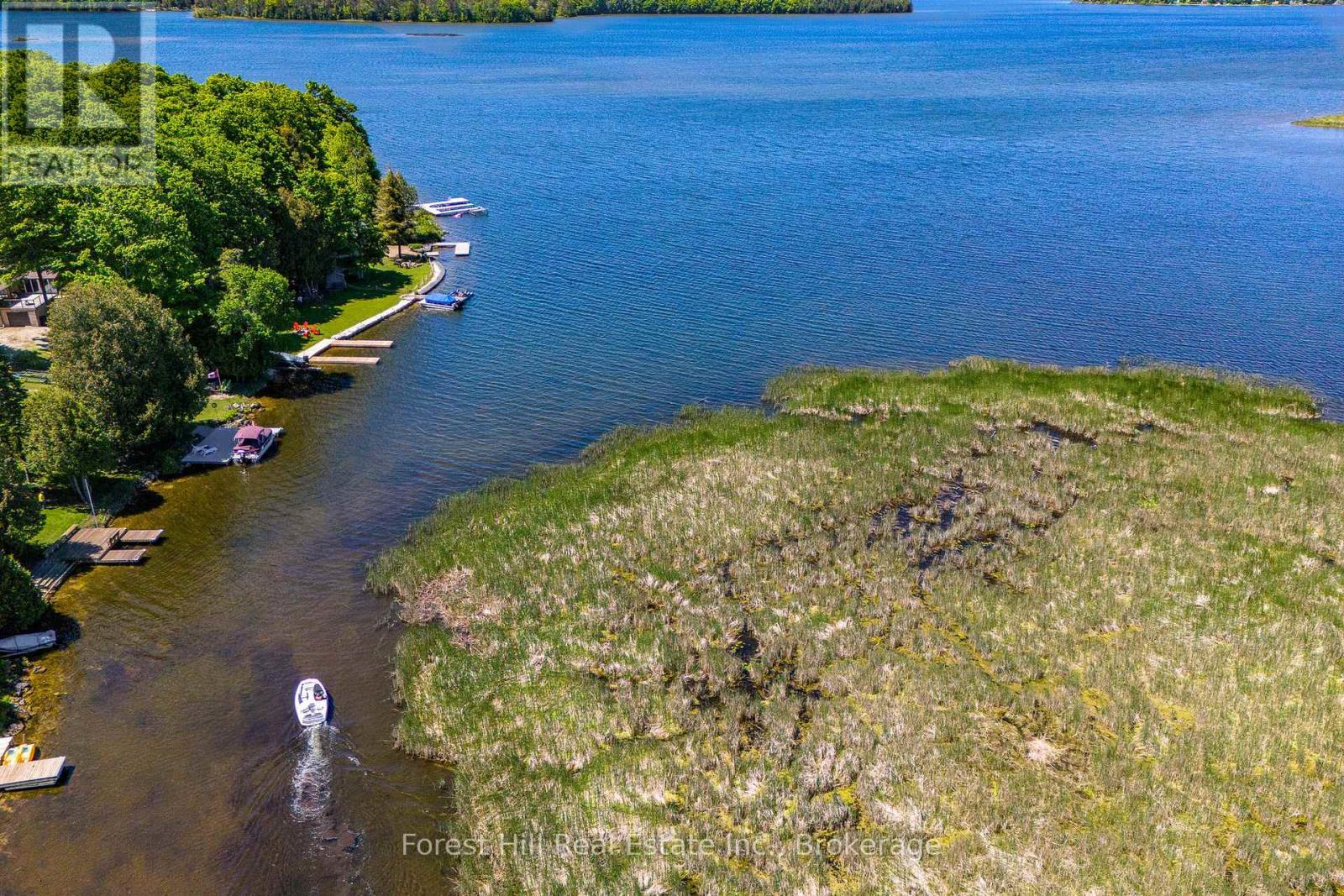 230 Wiles Lane N, Grey Highlands, Ontario  N0C 1E0 - Photo 26 - X12424320