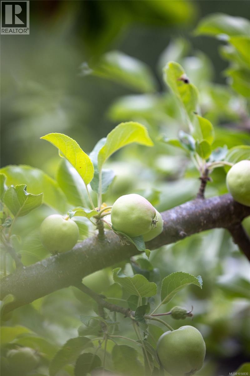 2656 Moncur Rd, Shawnigan Lake, British Columbia  V0R 2W3 - Photo 64 - 1014930