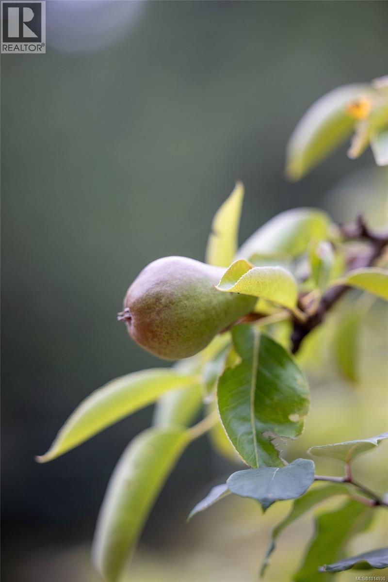 2656 Moncur Rd, Shawnigan Lake, British Columbia  V0R 2W3 - Photo 65 - 1014930