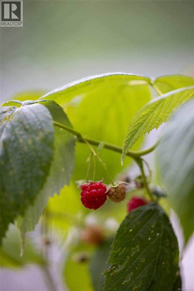 2656 Moncur Rd, Shawnigan Lake, British Columbia  V0R 2W3 - Photo 67 - 1014930